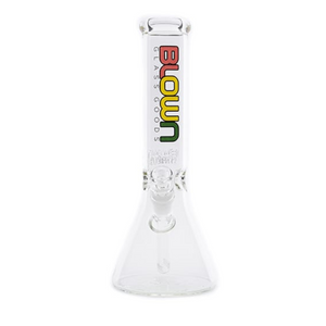 Blown 12" Beaker Water Pipe